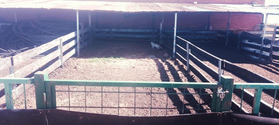 3 Bedroom Property for Sale in Bainsvlei Free State